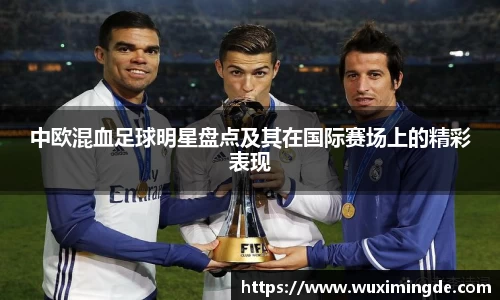 中欧混血足球明星盘点及其在国际赛场上的精彩表现